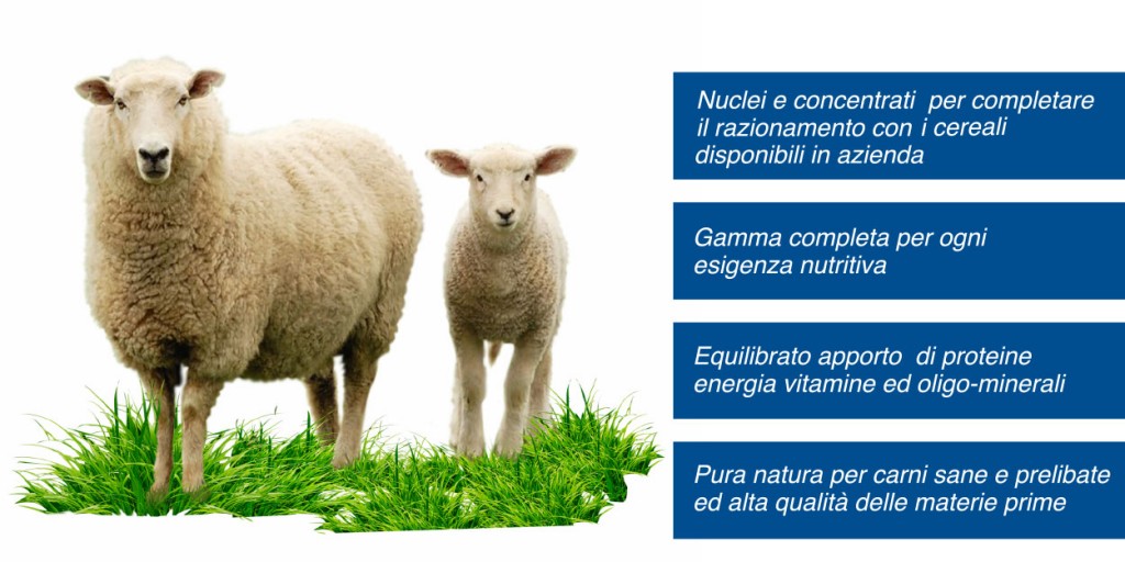 Ovini Umbra zoo Mangimi Perugia